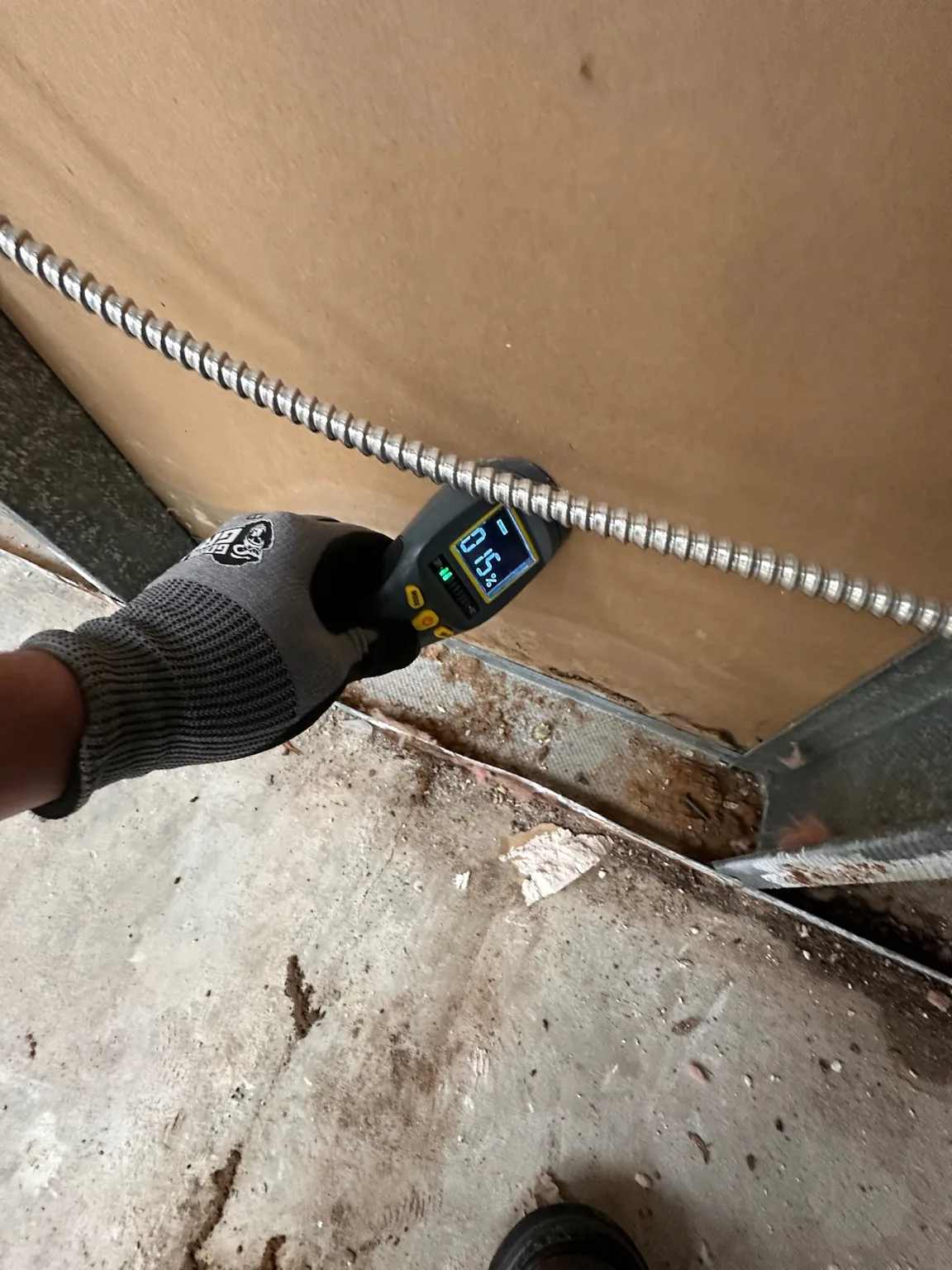 Material screening at an exposed wall assembly after selective removal.