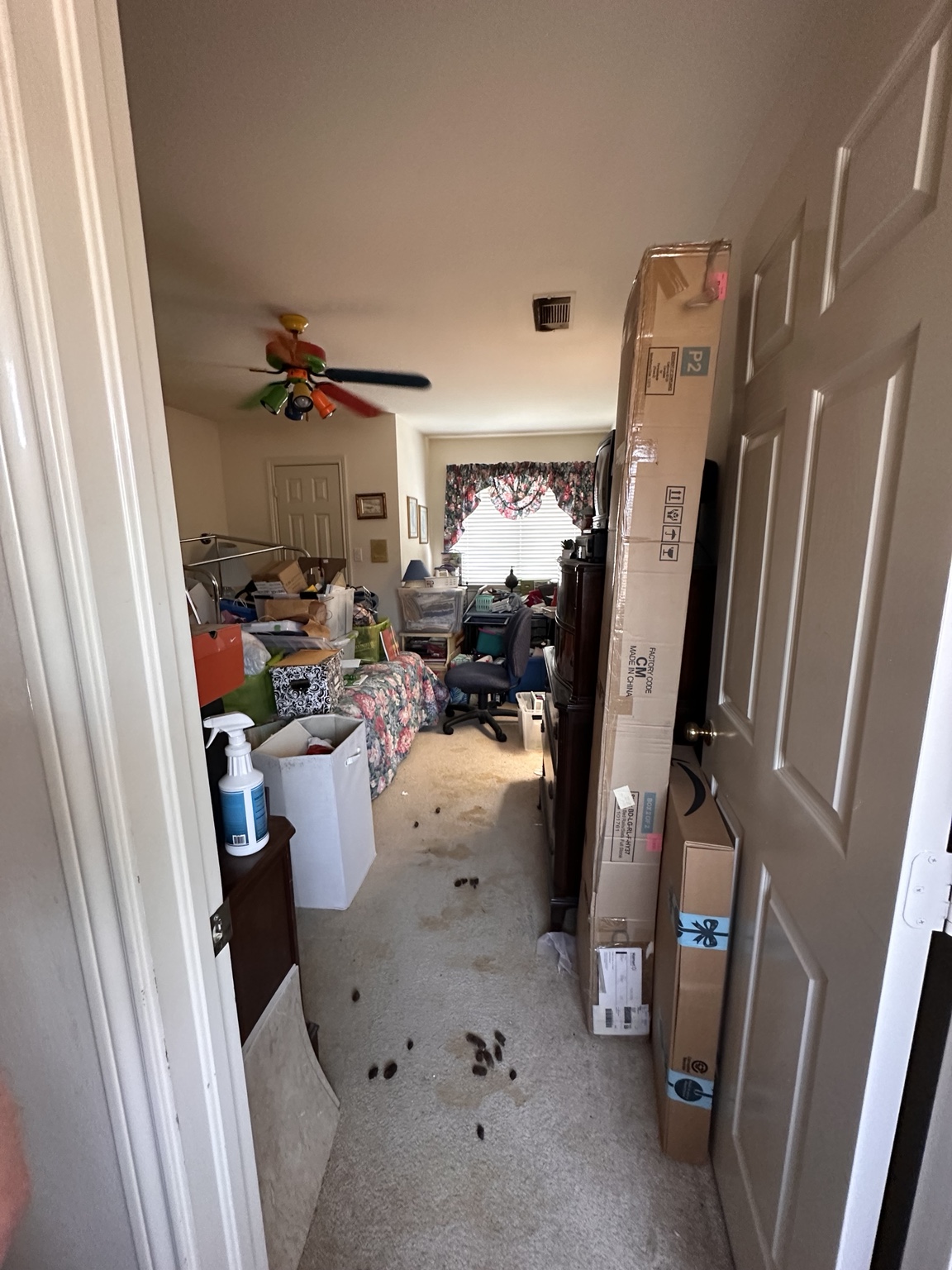 Bedroom with visible pet waste and stained carpet.